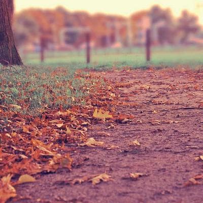 Bare Home Microfiber Sheet Set