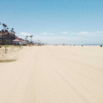 Canon EOS 90D