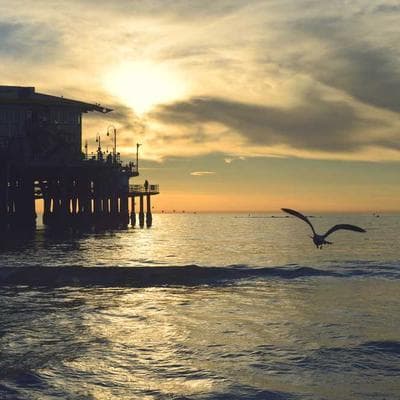 Classic Accessories Stellex 16ft