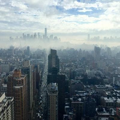 Echogear Full Motion Articulating Mount