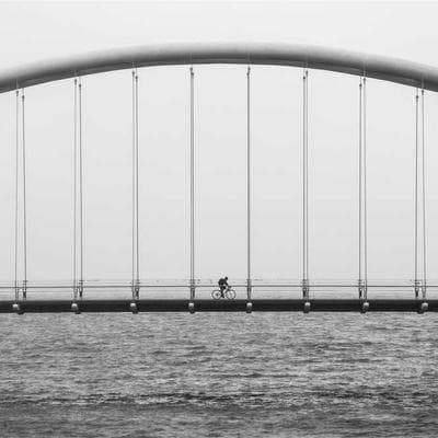 Fluval Flex 15-Gallon Aquarium Kit