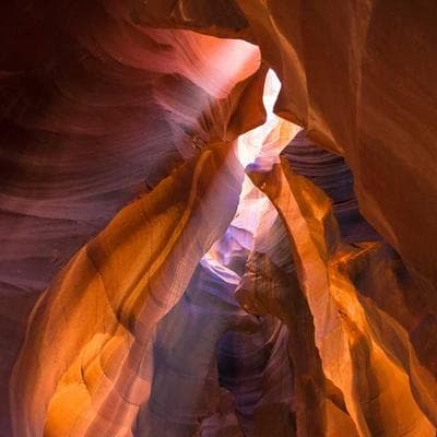 Newport NT300 Electric Outboard