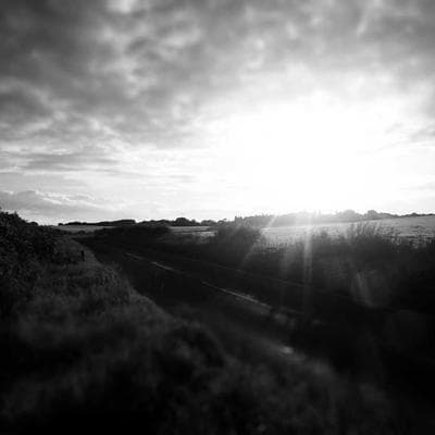 Perky-Pet Wren Home Hanging Birdhouse