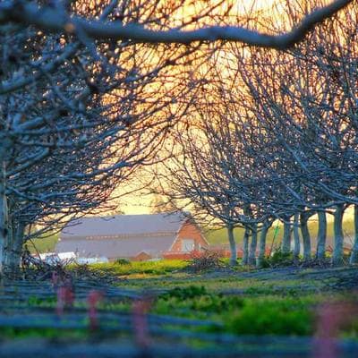 prAna Stretch Zion Pant II