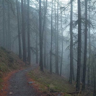 Presto Liddle Griddle 07211