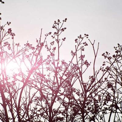 UGREEN USB 3.0 Sharing Switch 2-in-4