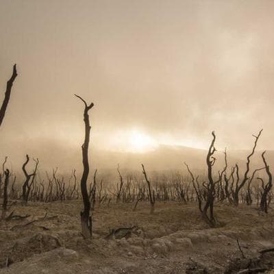 USA Pan Half Sheet Pan