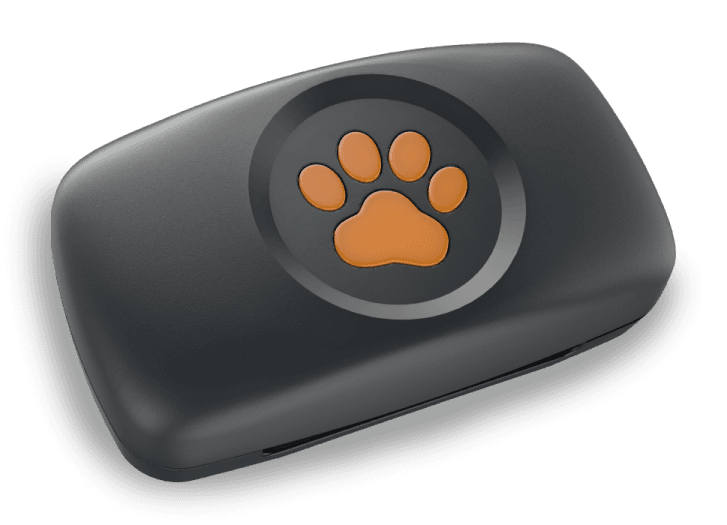 PitPat GPS